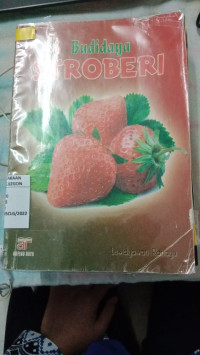Image of Budidaya Stroberry