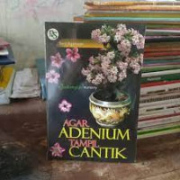 Image of Agar adenium tampil cantik