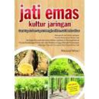 Image of Jati emas kultur jaringan