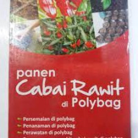 Image of Panen Cabai Rawit di Poliybag